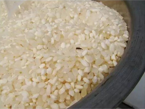 益陽稻谷收購,益陽稻谷儲存,益陽稻谷加工,益陽稻谷銷售,益陽優質稻開發